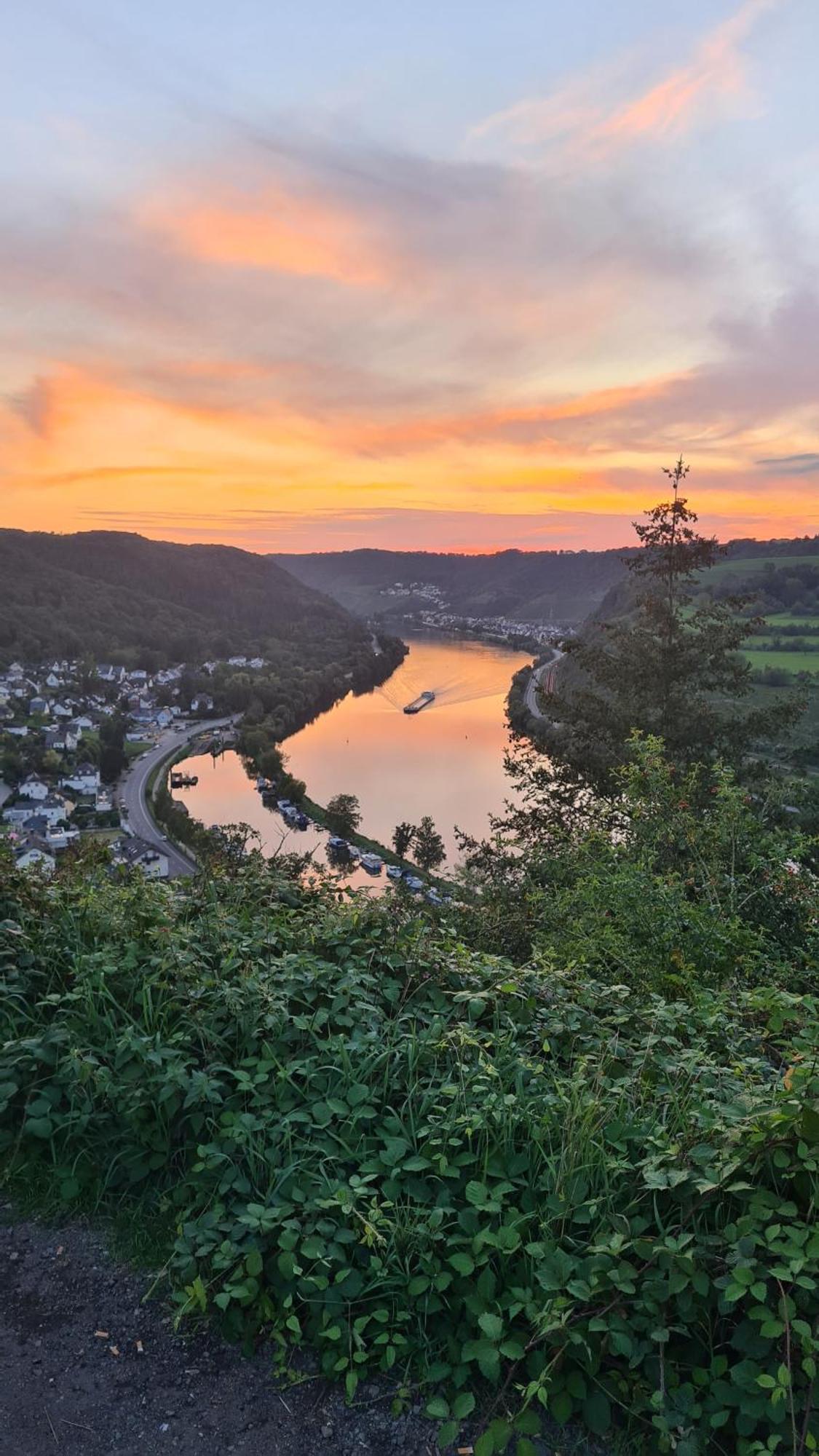 Pension Mit Moselblick Klotten Bagian luar foto