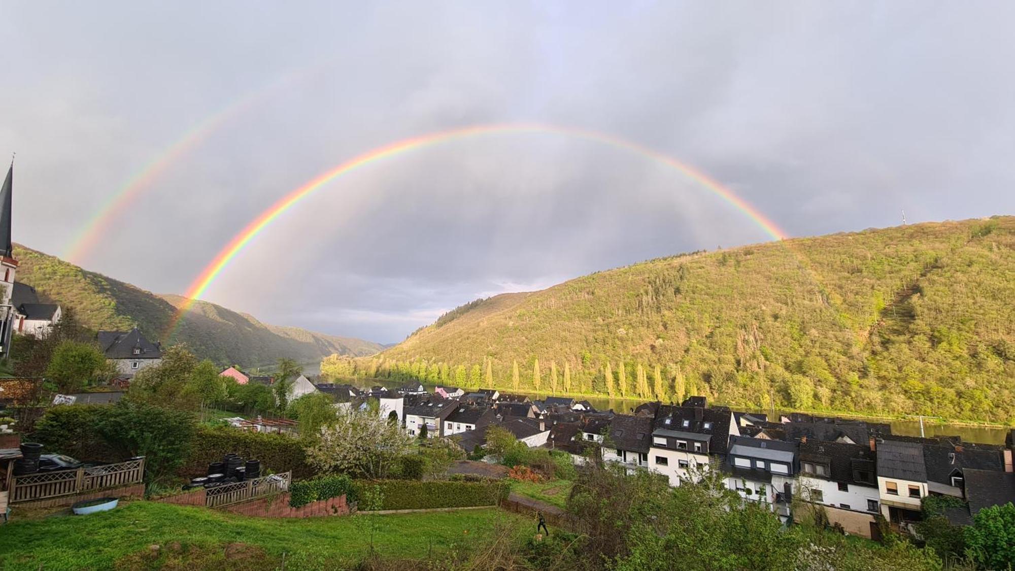 Pension Mit Moselblick Klotten Bagian luar foto