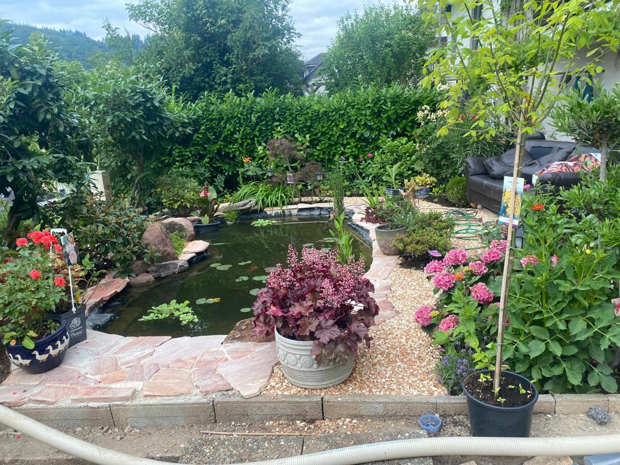 Pension Mit Moselblick Klotten Bagian luar foto